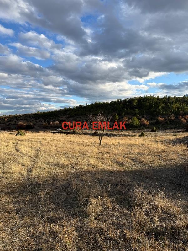 KONYA SEYDİŞEHİR YENİCEDE SATILIK 6000 m2 TARLA